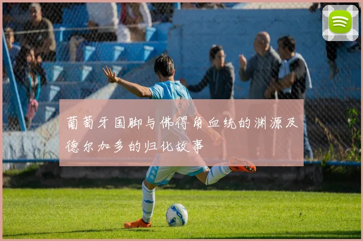 葡萄牙国脚与佛得角血统的渊源及德尔加多的归化故事