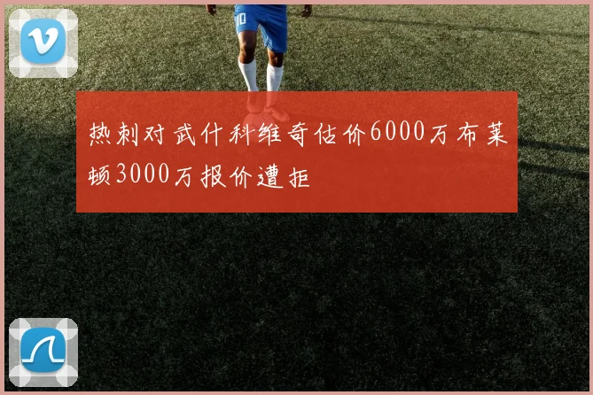 热刺对武什科维奇估价6000万布莱顿3000万报价遭拒